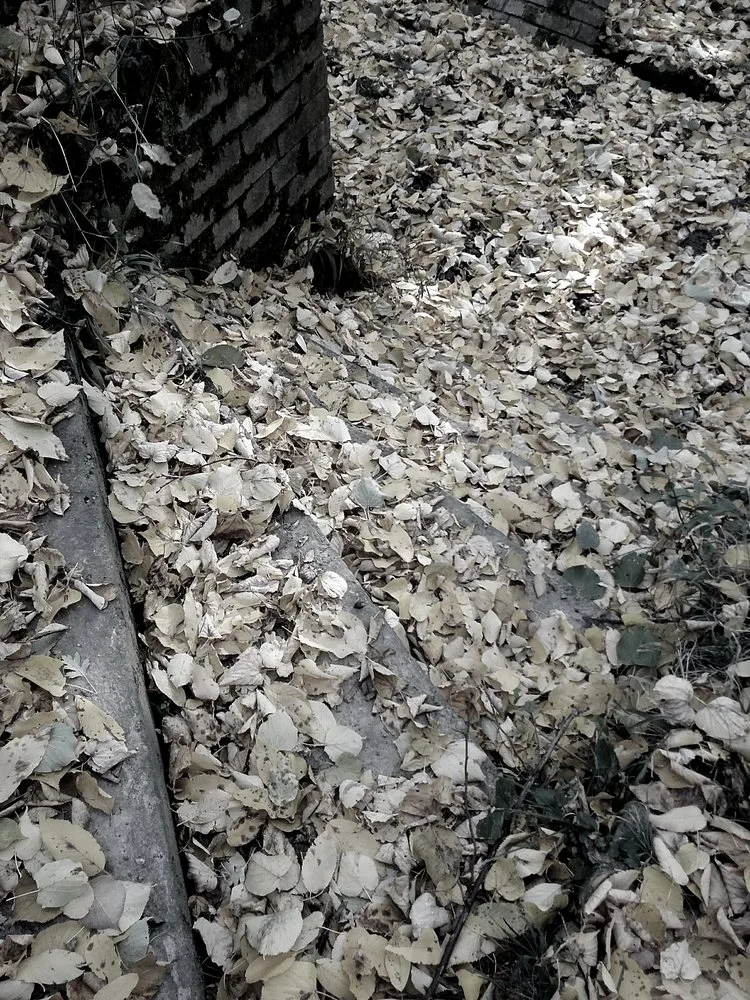 Desaturated gutter system for a gutters and gutter guards problem card
