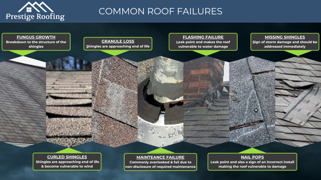 Common Roof Failures